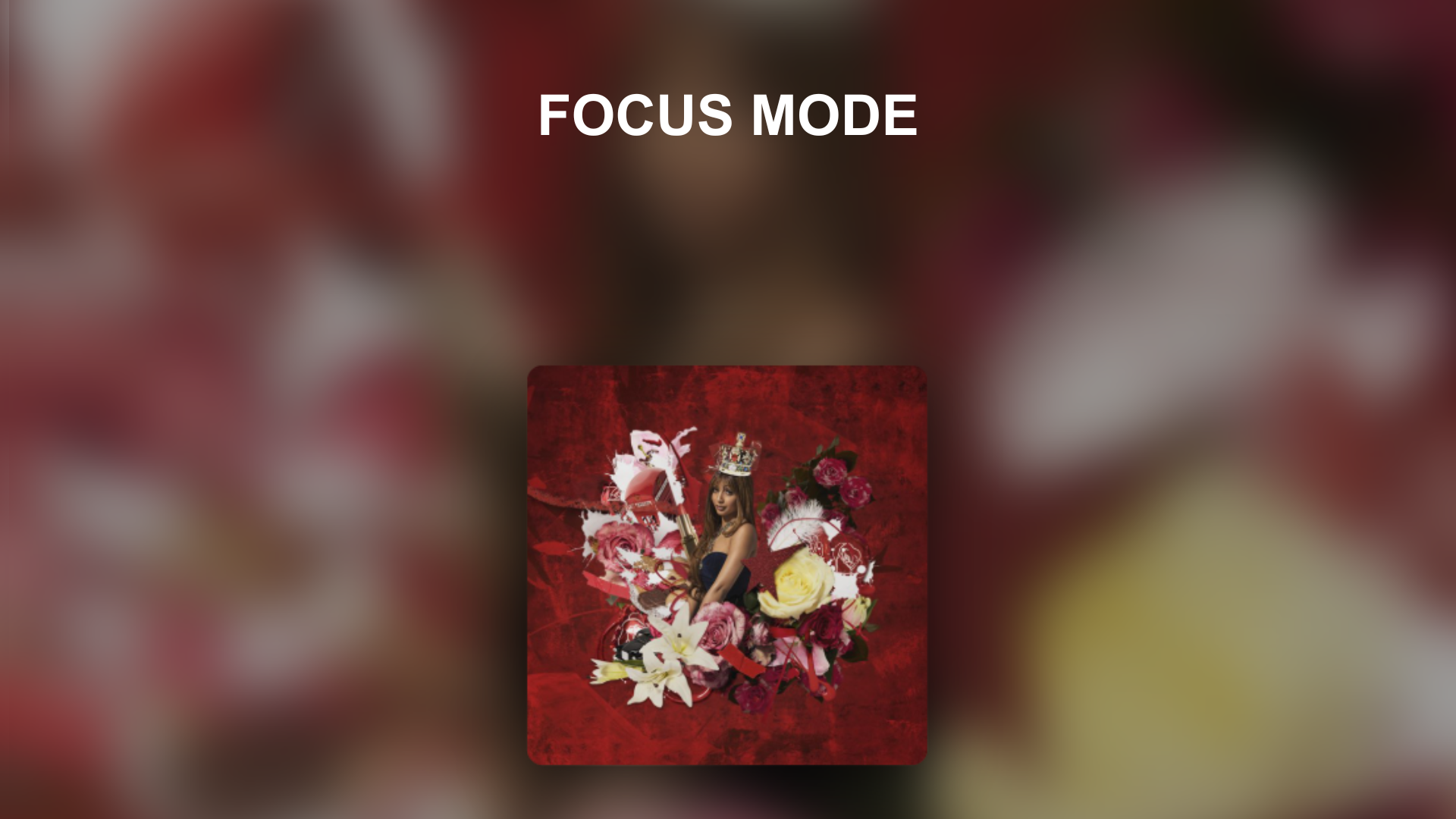 Mode FOCUS PelfoxNite Music