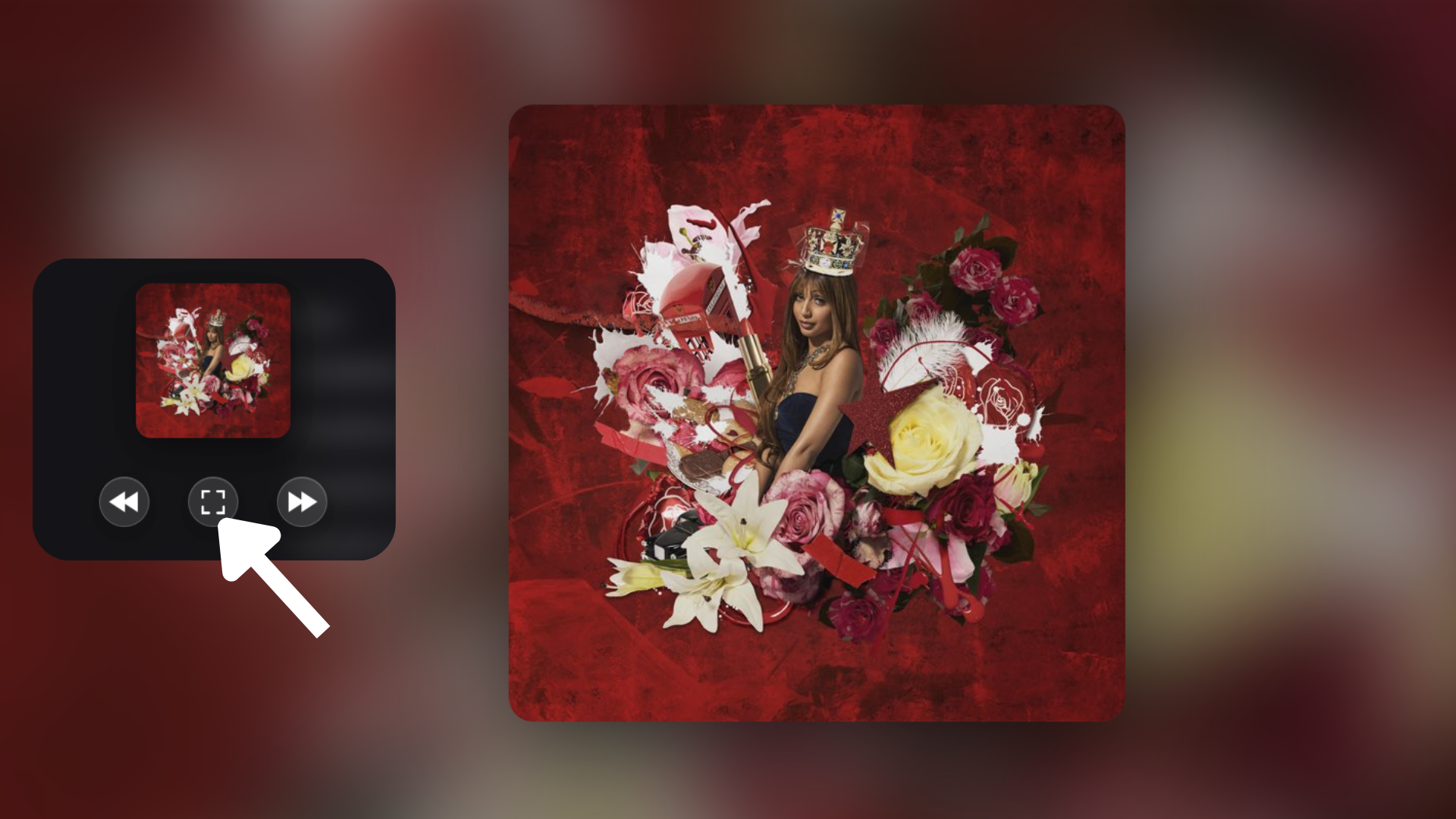 Mode FOCUS PelfoxNite Music